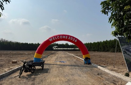 Bán đất An Viễn _Bình Mình gần sân bay Long thành giá thành hợp lý  vị trí đẹp phù hợp ở và đầu tư