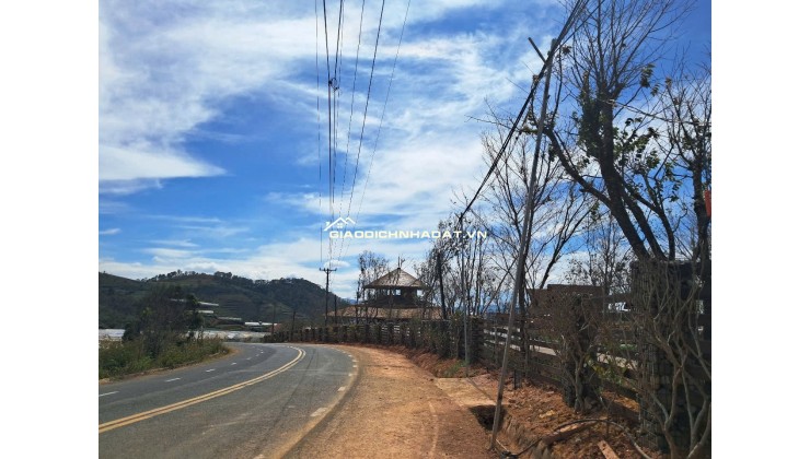 Bán Đất Lớn Lang biang 53,000 m2