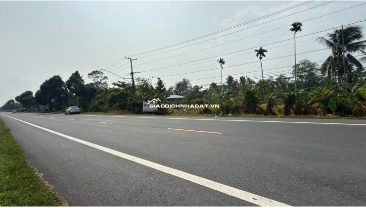 Bán đất nông nghiệp mặt tiền Quốc lộ 61C, Nhơn Ái, Phong Điền, Cần Thơ - 17.800m2