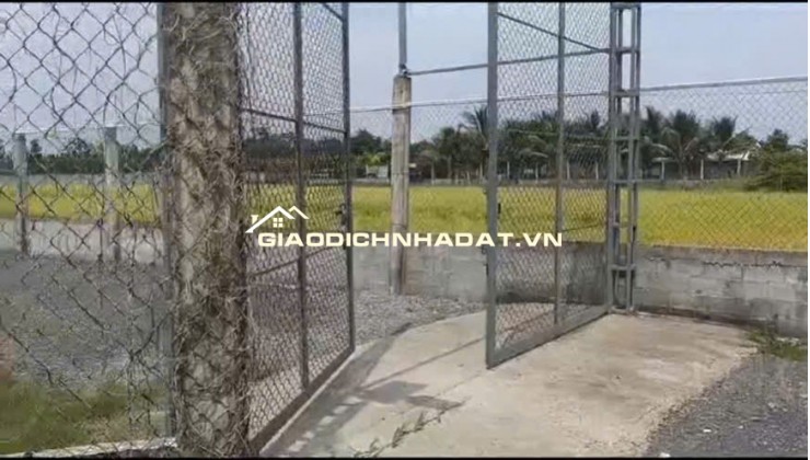 Bán Nhà Vườn 12.000m2, Giá 29.5 Tỷ, Kênh 12, Xã Lê Minh Xuân Bình Chánh