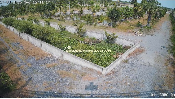 Bán Nhà Vườn 12.000m2, Giá 29.5 Tỷ, Kênh 12, Xã Lê Minh Xuân Bình Chánh