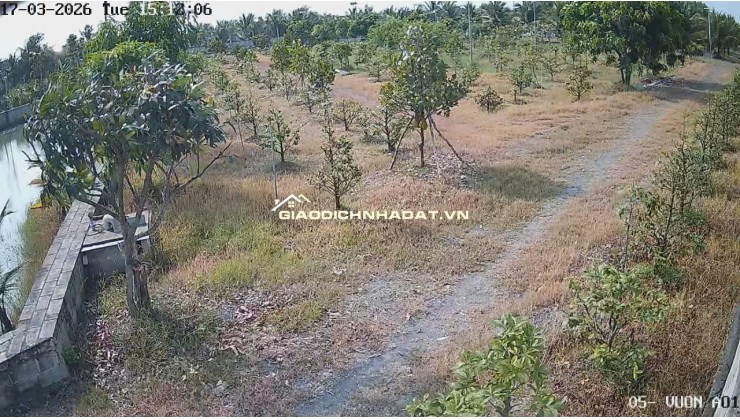Bán Nhà Vườn 12.000m2, Giá 29.5 Tỷ, Kênh 12, Xã Lê Minh Xuân Bình Chánh
