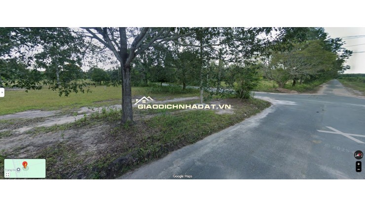  ĐẤT 239,5M² – ĐỊNH HIỆP, DẦU TIẾNG  GIÁ 4,19 TỶ