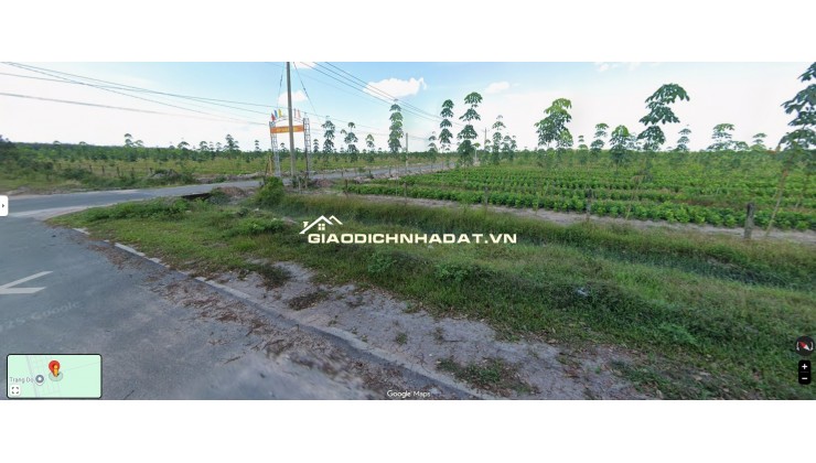  ĐẤT 239,5M² – ĐỊNH HIỆP, DẦU TIẾNG  GIÁ 4,19 TỶ