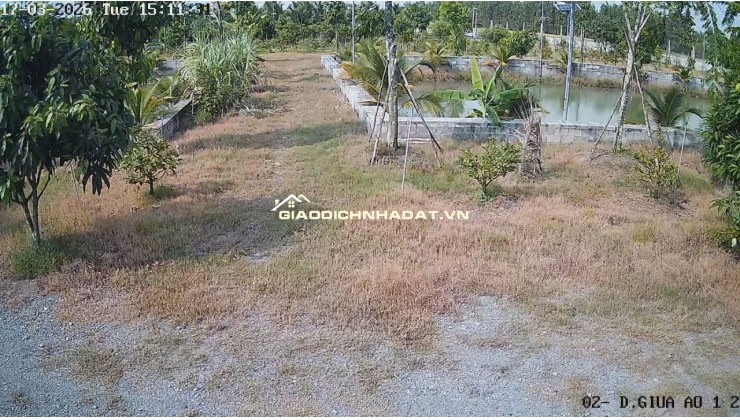 Bán Nhà Vườn 12.000m2, Giá 29.5 Tỷ, Kênh 12, Xã Lê Minh Xuân Bình Chánh