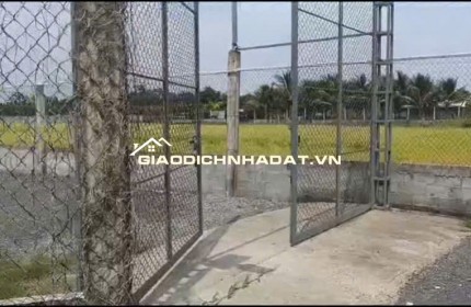 Bán Nhà Vườn 12.000m2, Giá 29.5 Tỷ, Kênh 12, Xã Lê Minh Xuân Bình Chánh