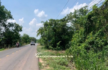 (Chính chủ cần bán) đất 2 mặt tiền Dt749a,Tp.hcm