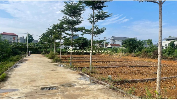 Bán đất làn 2 Phú Cát (Hòa Thạch) 100m2 full thổ, gần đường DH09 giá 2,3 tỷ.