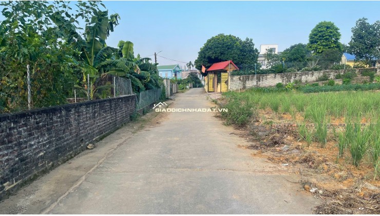 BÁN ĐẤT LÕI TRUNG TÂM PHÚ CÁT – 108,1M² FULL THỔ CƯ – SẴN SỔ
