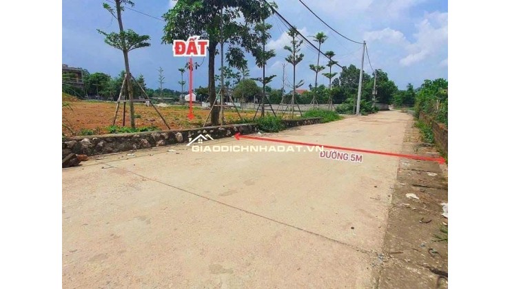 Bán đất làn 2 Phú Cát (Hòa Thạch) 100m2 full thổ, gần đường DH09 giá 2,3 tỷ.