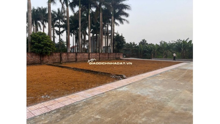 SĂN ĐẤT HÒA LẠC – 100M² NỞ HẬU, SÁT TRỤC DH09 PHÚ CÁT!