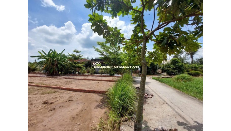 BÁN LÔ ĐẤT THỔ CƯ VỊ TRÍ ĐẸP TẠI ẤP 6 XÃ TÂN TRẠCH, CẦN ĐƯỚC, LONG AN. LH:0903187068.