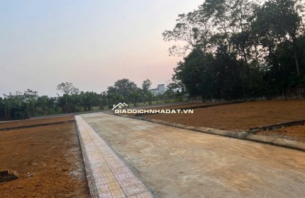 SĂN ĐẤT HÒA LẠC – 100M² NỞ HẬU, SÁT TRỤC DH09 PHÚ CÁT!