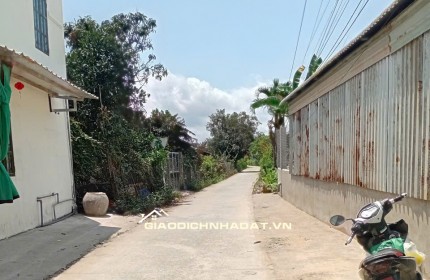 Chính chủ bán đất Thổ Cư đẹp ngay trung tâm hành chính Tân Phú Đông Tiền Giang